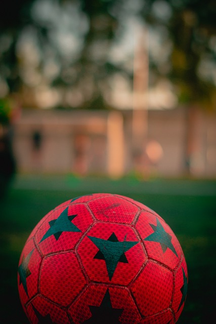 2025赛季足协杯现场观众总人数为505278人次，场均8020人